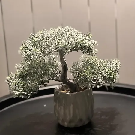 The Pearl - In The Heart Of Skopie