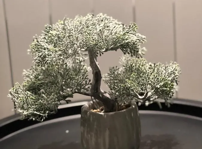 The Pearl - In The Heart Of Skopje